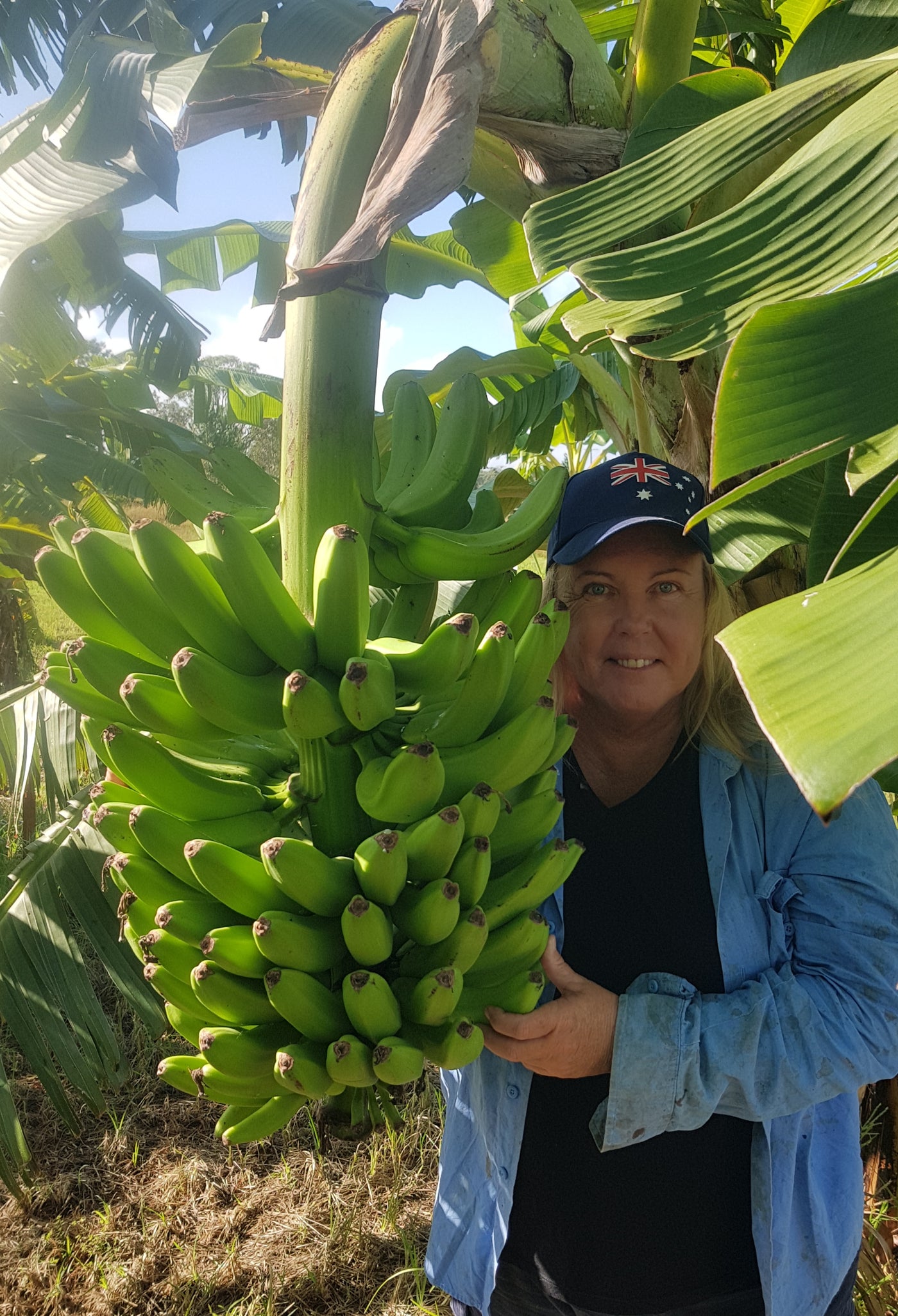 Kym Daniells, owner of Monkey Banana Bites, on the farm in Wamuran